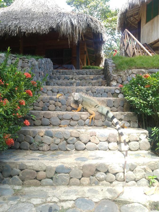 Ecocabanas Diosa Jaguar Tayrona La Esmeralda  Exteriér fotografie
