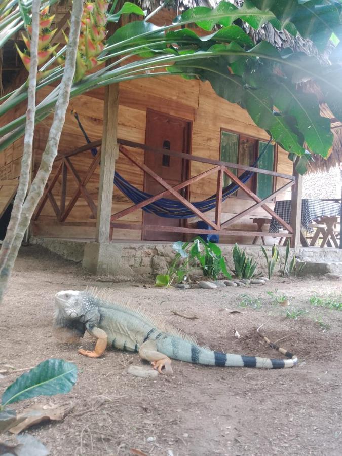 Ecocabanas Diosa Jaguar Tayrona La Esmeralda  Exteriér fotografie