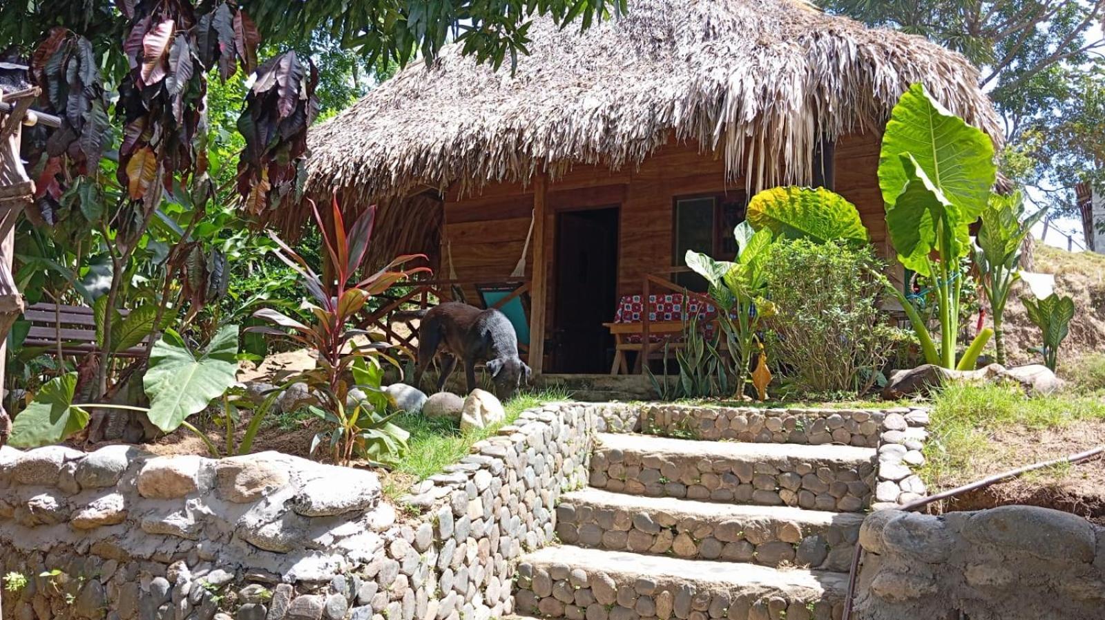 Ecocabanas Diosa Jaguar Tayrona La Esmeralda  Exteriér fotografie