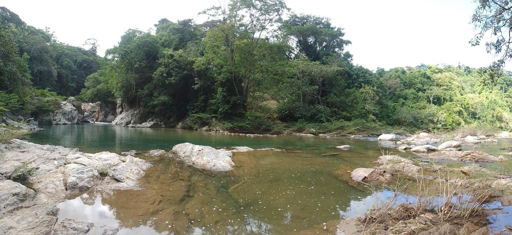 Ecocabanas Diosa Jaguar Tayrona La Esmeralda  Exteriér fotografie