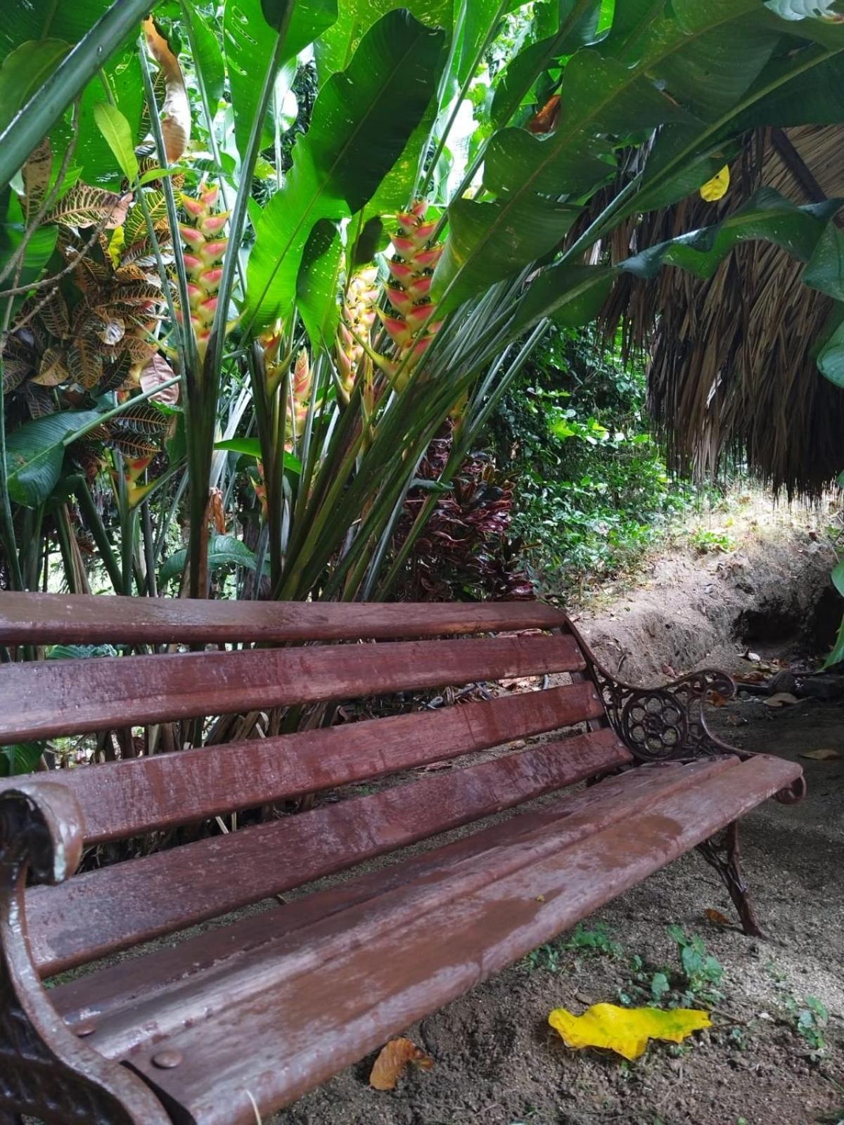Ecocabanas Diosa Jaguar Tayrona La Esmeralda  Pokoj fotografie