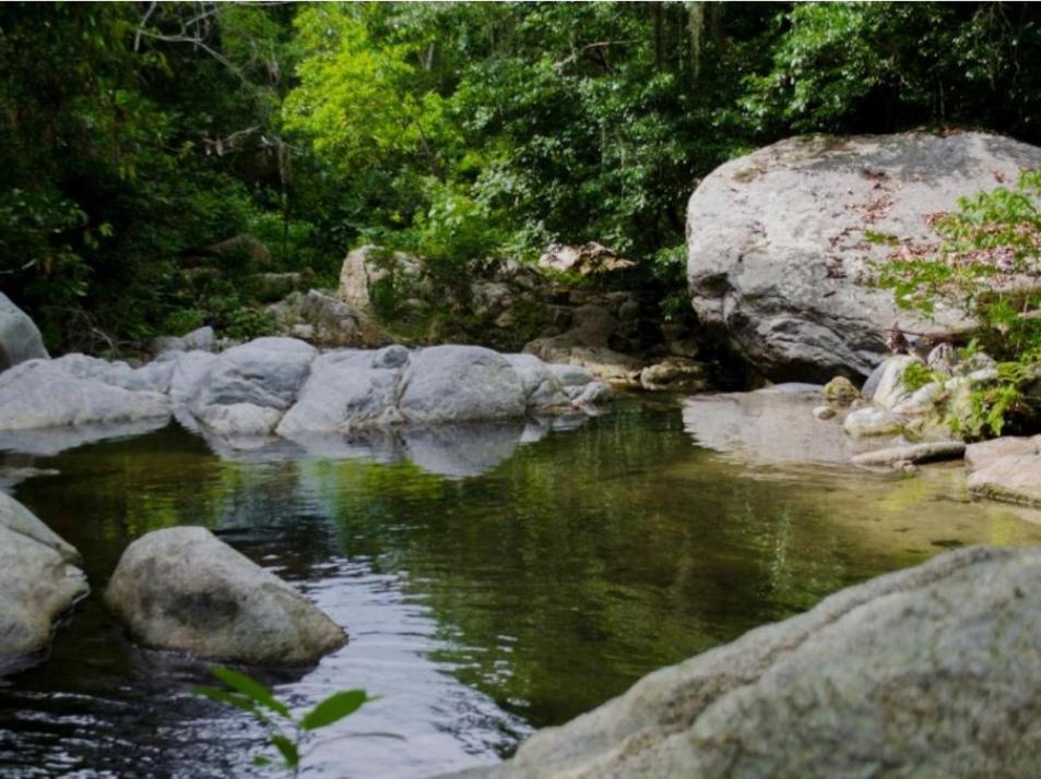 Ecocabanas Diosa Jaguar Tayrona La Esmeralda  Exteriér fotografie