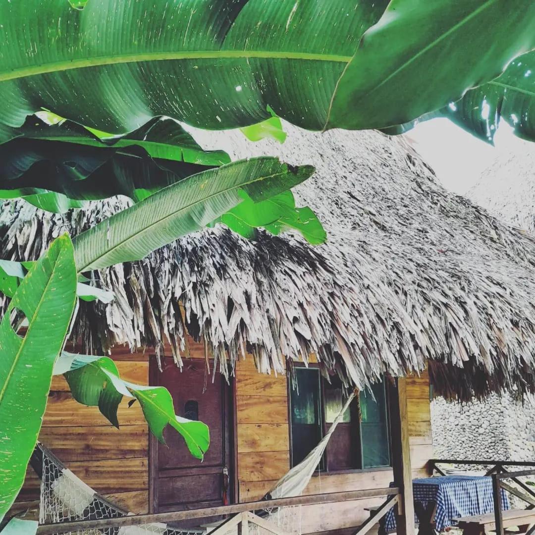 Ecocabanas Diosa Jaguar Tayrona La Esmeralda  Exteriér fotografie
