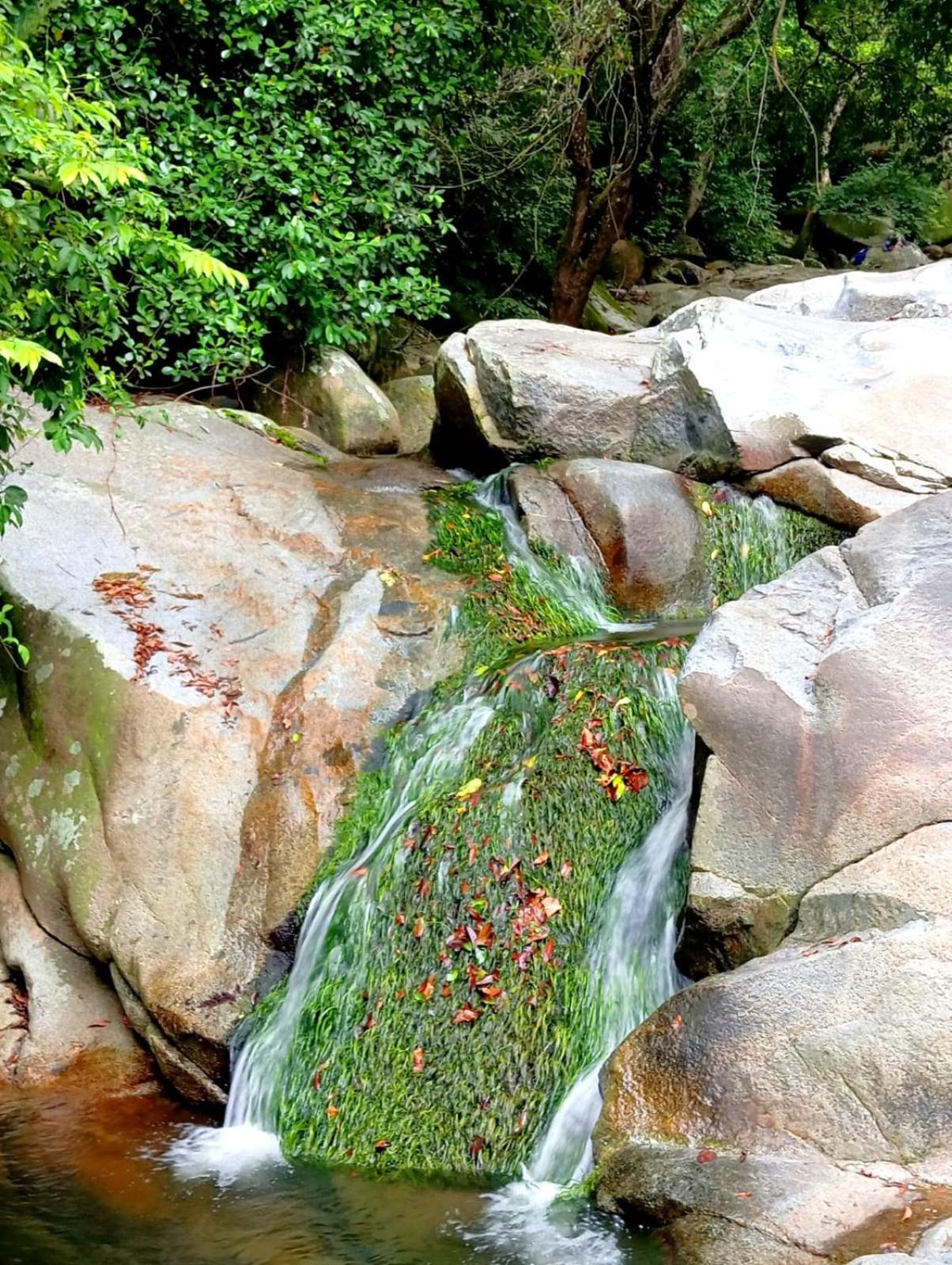 Ecocabanas Diosa Jaguar Tayrona La Esmeralda  Exteriér fotografie