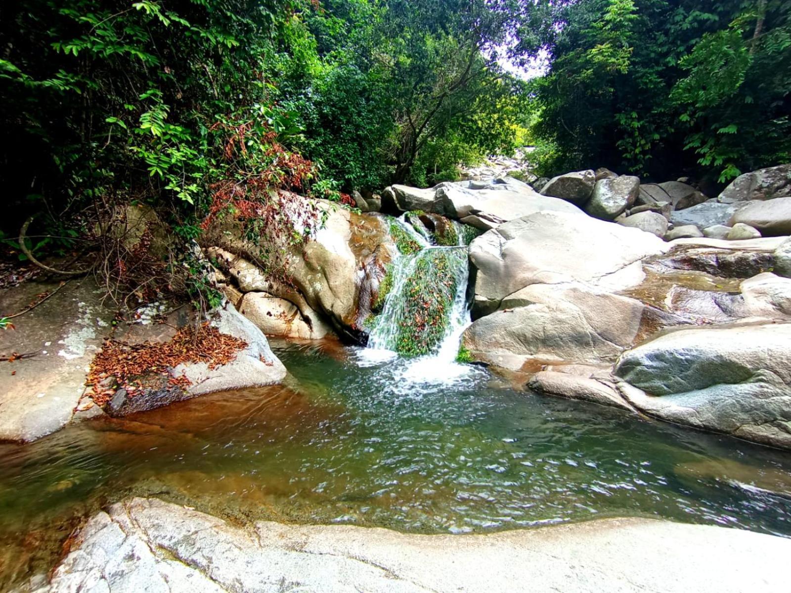 Ecocabanas Diosa Jaguar Tayrona La Esmeralda  Exteriér fotografie
