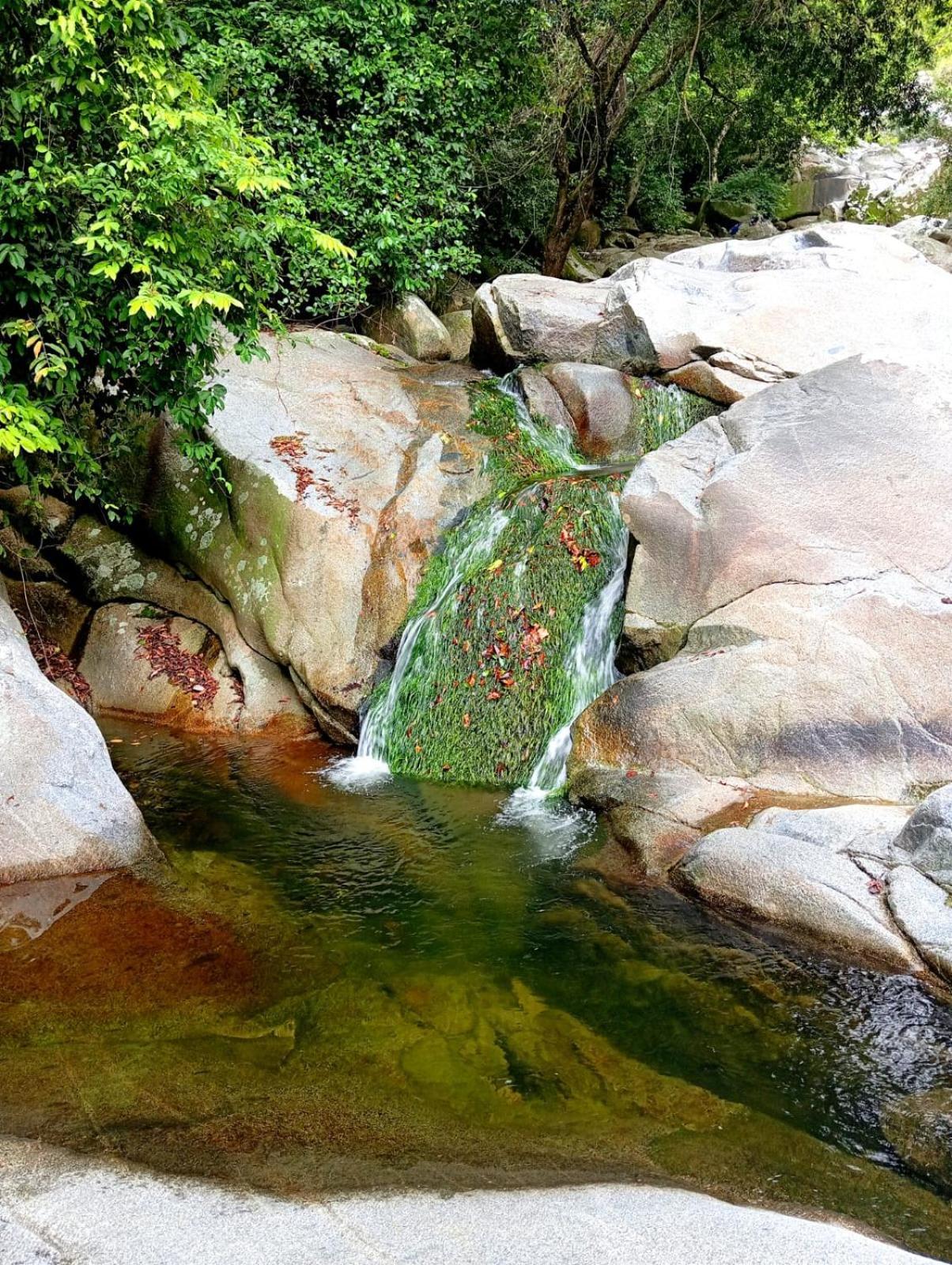 Ecocabanas Diosa Jaguar Tayrona La Esmeralda  Exteriér fotografie